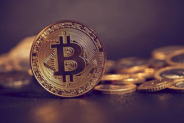 Avro sikkelerinin yanındaki altın bitcoin, kripto para birimi için kavramsal görüntü