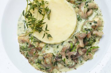 püresi patates mantar beyaz tabakta ile yakın çekim 