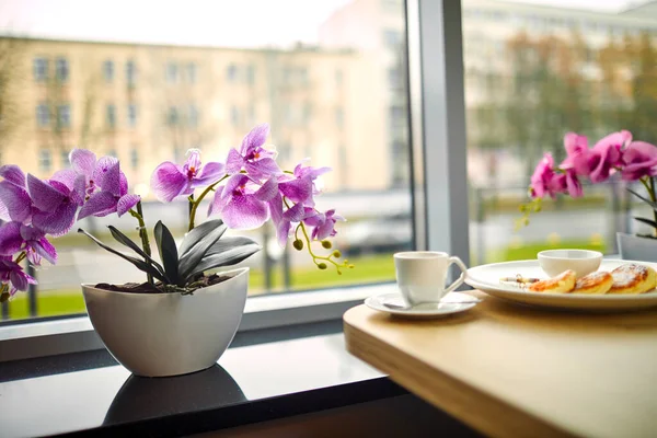 Szép Rózsaszín Orchidea Pot Ablakpárkányon — Stock Fotó