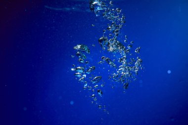 buz küpleri suya düşen, yakın çekim 