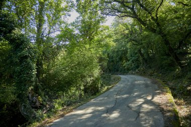 Güneşli bir günde Karadağ 'da güzel bir park