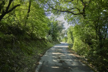 Güneşli bir günde Karadağ 'da güzel bir park