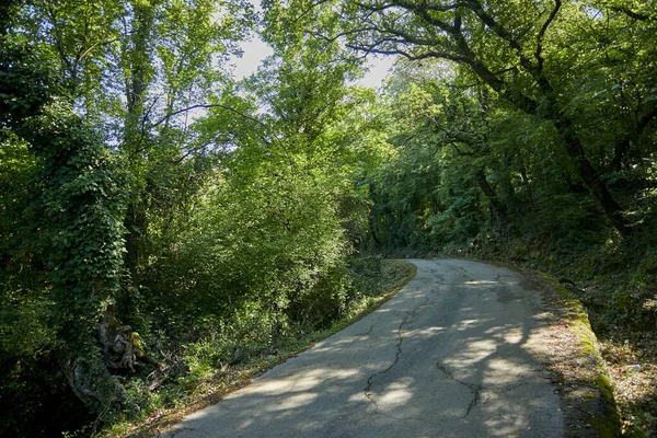 Güneşli bir günde Karadağ 'da güzel bir park