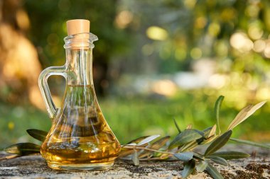Yağ konmuş; zeytin dalı da yemyeşildir. 