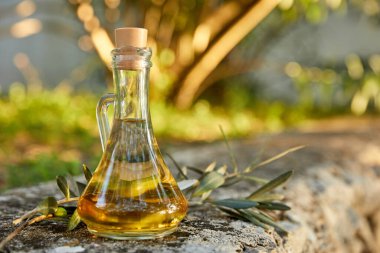 Yağ konmuş; zeytin dalı da yemyeşildir. 