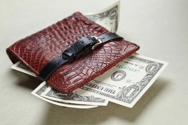 leather wallet with money and belt, close view