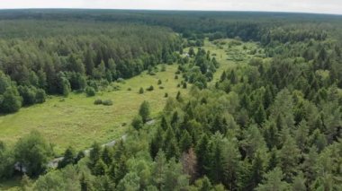 Güneşli bir günde sonsuz kozalaklı ormandaki nehir manzarası.