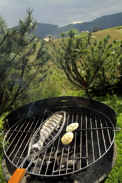Een forel op grill — Stockfoto