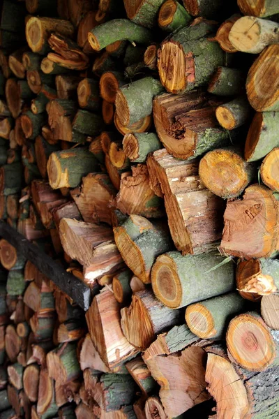 Firewood of friut tree in shed
