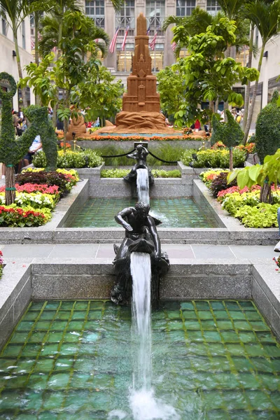 New York Usa Augusti 2018 Rockefeller Plaza Vacker Blommande Blomma — Stockfoto