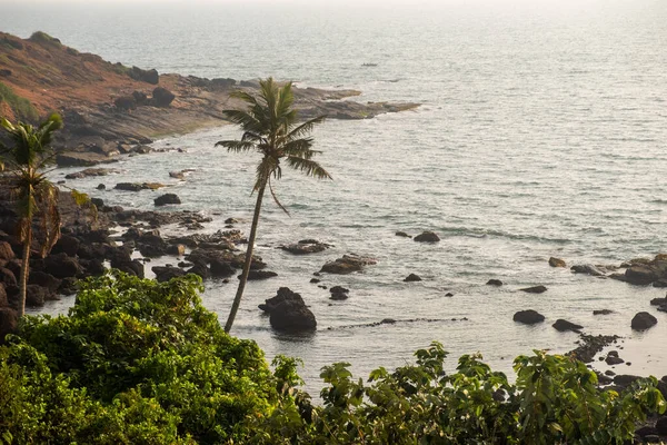 Vue Dessus Sur Littoral Goa Nord Inde — Photo