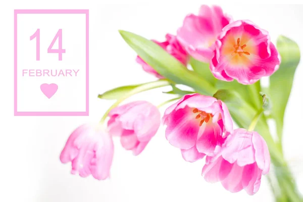 Mooi boeket van paarse tulpen. Ondiepe scherptediepte — Stockfoto