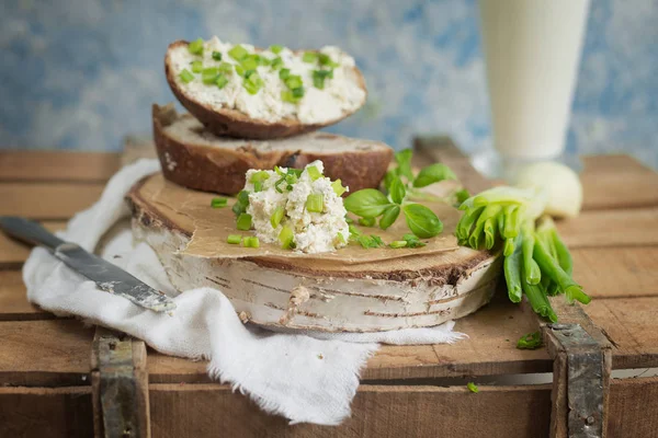 크림 치즈와 향신료 빵 — 스톡 사진