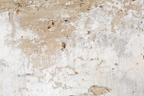 Sfondo o texture della parete della vernice chiara del grano — Foto Stock