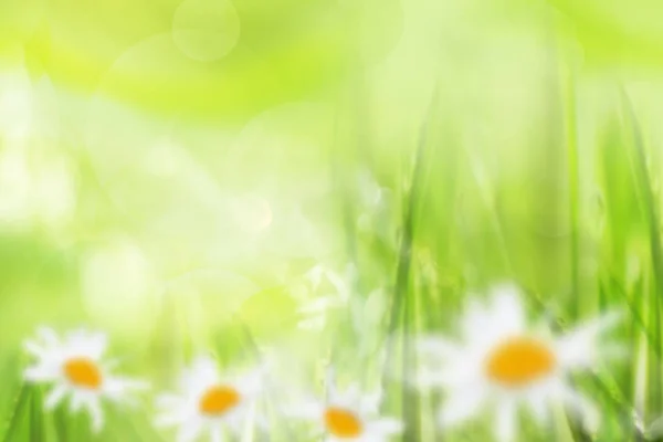 Soyut ilkbahar arka plan — Stok fotoğraf