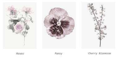 pastel flowers-Triptych picture clipart