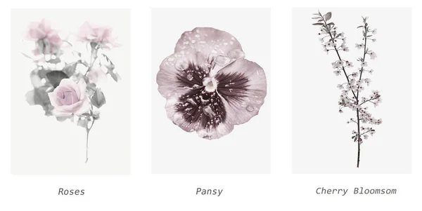 Pastelowe kwiaty Tryptyk obraz — Zdjęcie stockowe