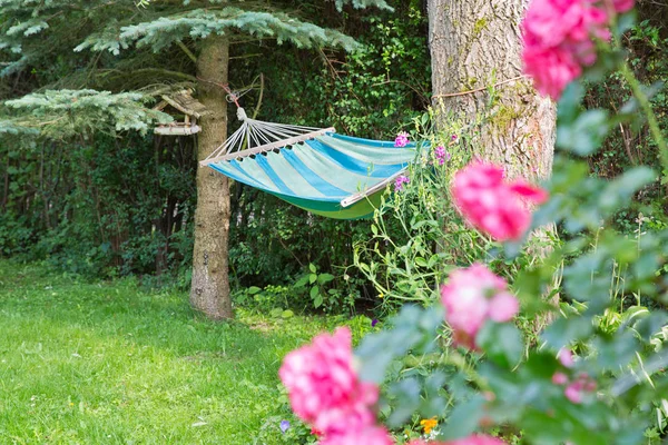 夏の庭でハンモック — ストック写真
