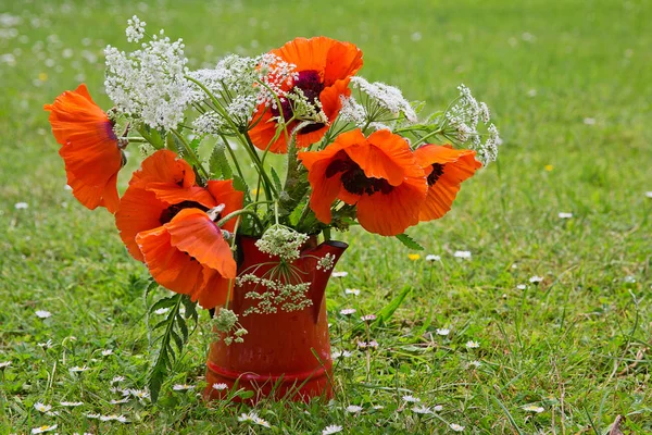 Bouquet of poppies in the garden — Stock Photo, Image