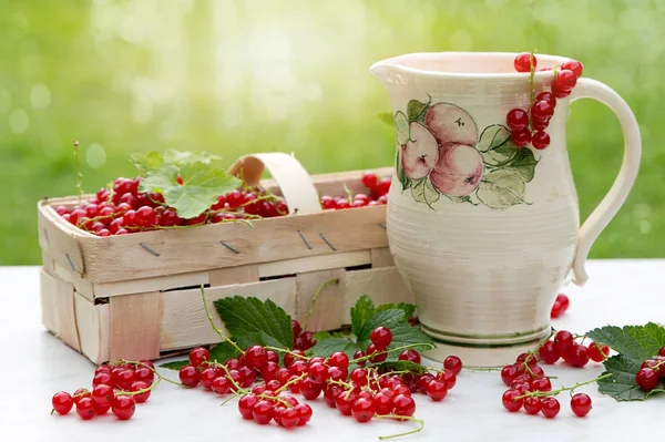 Rote Johannisbeere und Saft im Krug — Stockfoto