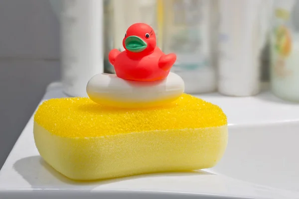Soap and bath sponge — Stock Photo, Image