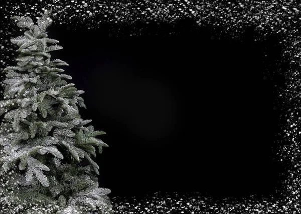 Vánoční strom v zimním období — Stock fotografie