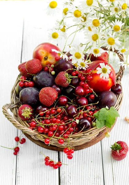 Frisches Obst Korb Sommerzeit Garten — Stockfoto