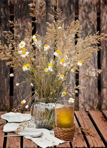 Kamomillte Och Blommor Trädgården — Stockfoto