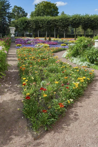 Pavlovsk, a flower bed