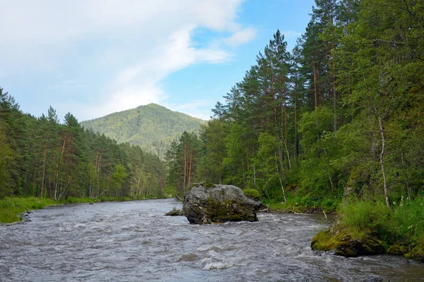 Río en las montañas de Altai — Foto de Stock