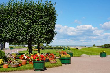 Peterhof, Rusya 5 Ağustos: çiçek bahçesinde aşağı Parkı Ağustos 05,2015