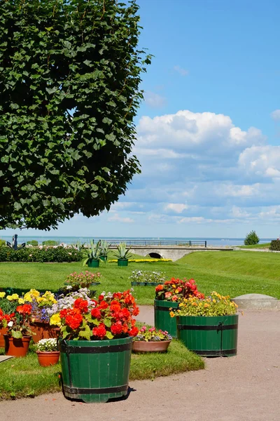 Peterhof, Rússia 5 de agosto: Jardim de flores no Lower Park 05 de agosto de 2015 — Fotografia de Stock