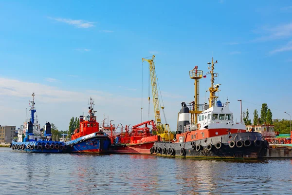 Kaliningrad, la flotte de remorquage — Photo