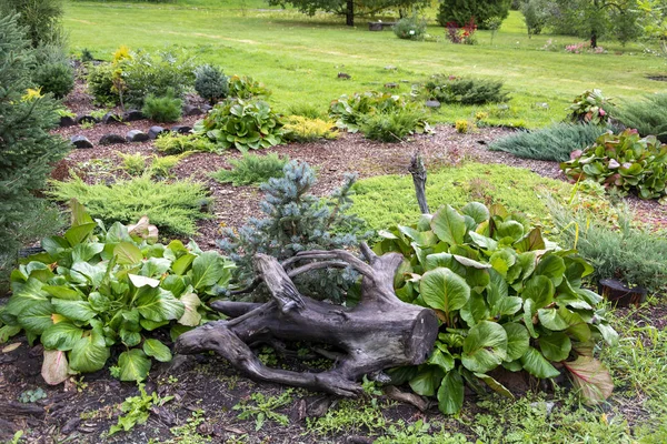 Bahçenin bakımlı dekoratif köşesi — Stok fotoğraf