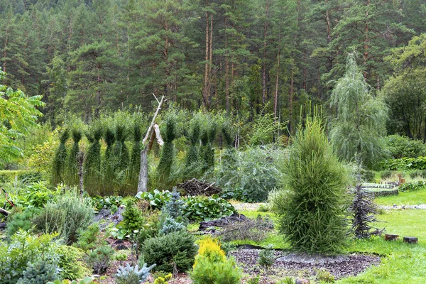 Rea av trädgården med vackra frodiga buskar — Stockfoto