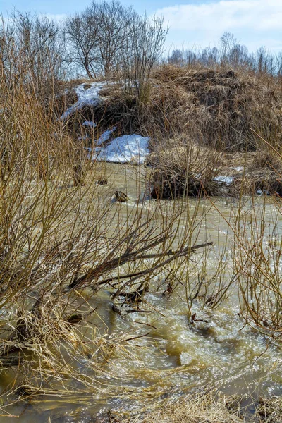 Inundación de primavera en un pequeño río siberiano Balakhonka —  Fotos de Stock