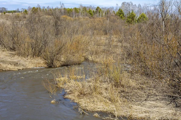 Inondazione primaverile su un piccolo fiume siberiano Balakhonka — Foto Stock