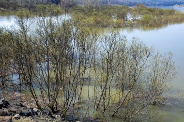 Tom nehrinde bahar seli 