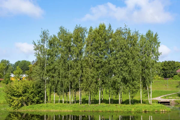 Pskov, a picturesque island in the Duck pond in the Park on the — Stock Photo, Image