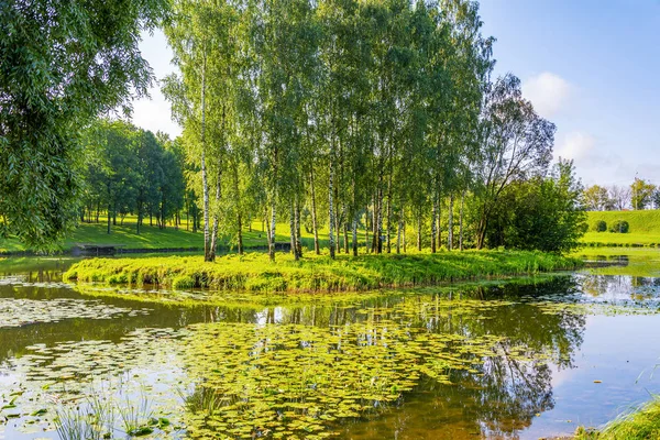 Pskov,  Duck pond in the Park on the river Miroshka, — Stock Photo, Image