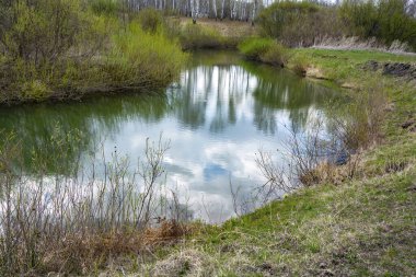 Strelina nehri kıyısında ilkbahar yeşillikleri, Kemerovo bölgesi-Kuzbass