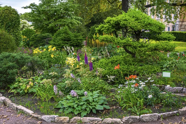 Üppig Blühende Pflanzen Einem Schönen Garten Frühherbst — Stockfoto