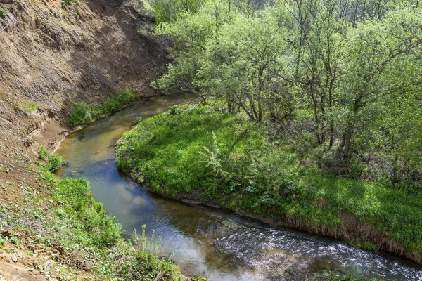 Pintoresco Pequeño Río Pachitanka Distrito Yaya Región Kemerovo Kuzbass Rusia —  Fotos de Stock