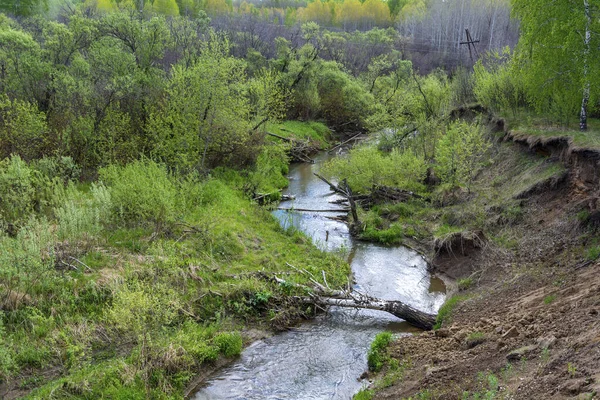 Pittoresque Petite Rivière Pachitanka District Yaya Région Kemerovo Kuzbass Russie — Photo