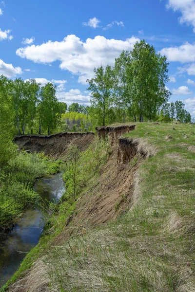 Ribera Escarpada Del Pequeño Río Paciencia Distrito Yaya Región Kemerovo —  Fotos de Stock