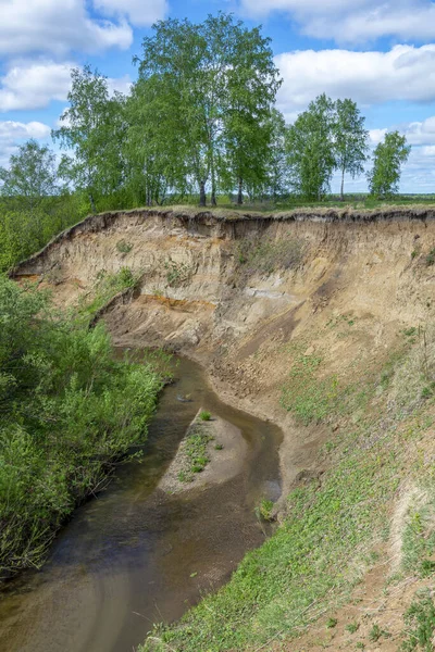 Крутой Берег Маленькой Реки Пахома Яйского Района Кемеровской Области Кузбасс Стоковое Фото