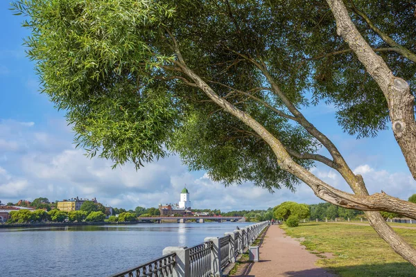 Vyborg Picturesque Willow Embankment Big Bucket Bay Fine Summer Day — Stock Photo, Image