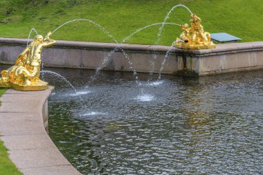 Peterhof, Rusya-15 Ağustos 2019: Bolşoy (Samsonovsky) kanalı, ünlü Büyük çeşme Peterhof, Saint Petersburg, Russi