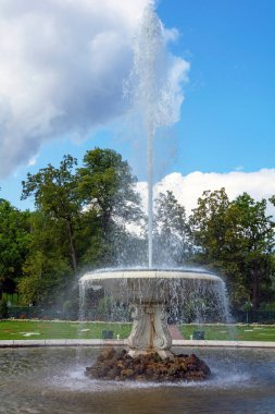Peterhof, Rusya-15 Ağustos 2019: Aşağı Park 'taki büyük İtalyan çeşmesi, canlı bir turizm merkezi, Peterhof, Saint Petersburg, Russi