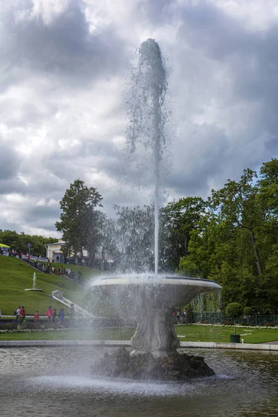 Peterhof Russie Août 2019 Grande Fontaine Italienne Dans Parc Inférieur — Photo